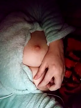 CHahed-5 online show from 15, 12, 2025