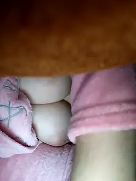 CHahed-5 online show from 7, 1, 2026