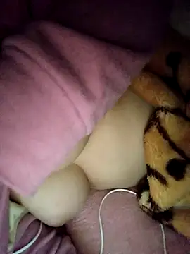 CHahed-5 online show from 23, 11, 2025