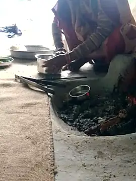 CUTE-004 online show from 9, 1, 2026