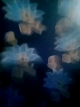 your favourite bhabhi online show from 2, 11, 2025