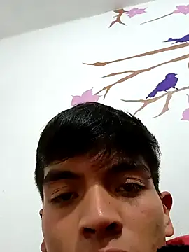 Snapshot of DavidVergagigante420 chatting on 17, 11, 2025 DavidVergagigante420 online show from 17, 11, 2025