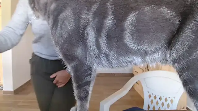 Missforever online show from 23, 3, 2026