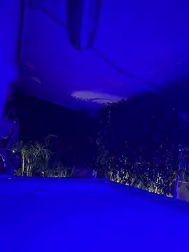 KstnSrg19 online show from 2, 8, 2026