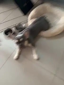 KstnSrg19 online show from 30, 11, 2025