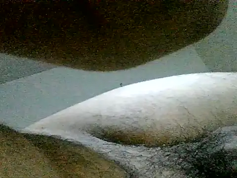 Snapshot of LuispingonX69 chatting on 23, 6, 2026 LuispingonX69 online show from 23, 6, 2026