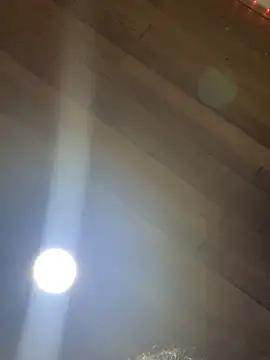 XBODTRIIPX online show from 22, 4, 2026