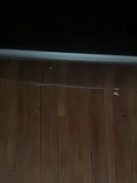 XBODTRIIPX online show from 3, 3, 2026