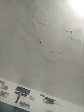 Snapshot of Ferxxxo1503 chatting on 2, 12, 2025 Ferxxxo1503 online show from 2, 12, 2025