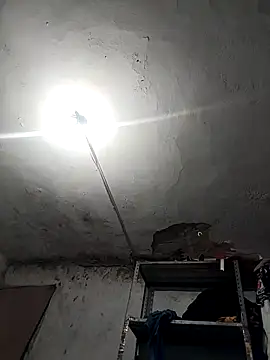 Snapshot of Ferxxxo1503 chatting on 26, 11, 2025 Ferxxxo1503 online show from 26, 11, 2025