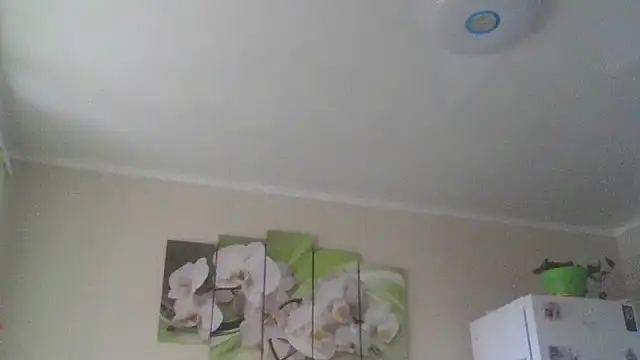 Snapshot of Zhinara chatting on 9, 11, 2025 Zhinara online show from 9, 11, 2025