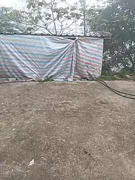 keobong-00 online show from 5, 3, 2026