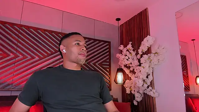 B Wild online show from 22, 4, 2026