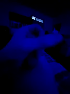 littlecockginger online show from 4, 2, 2026