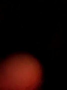 21Supercazzo21 online show from 23, 9, 2025