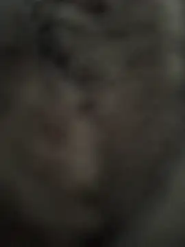 Snapshot of Immerhartundgeil chatting on 9, 5, 2026 Immerhartundgeil online show from 9, 5, 2026