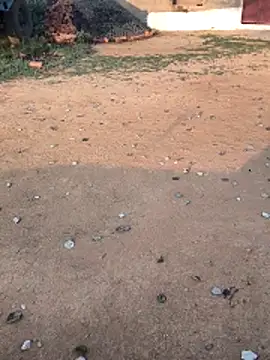 Ag punam online show from 10, 2, 2026