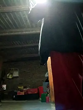 Snapshot of kemtuoi-sex chatting on 3, 11, 2025 kemtuoi-sex online show from 3, 11, 2025