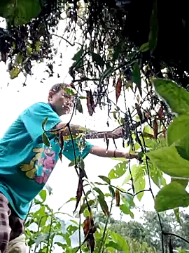 kemtuoi-sex online show from 22, 2, 2026