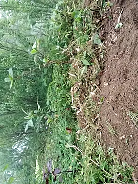 kemtuoi-sex online show from 19, 4, 2026