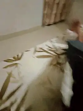 Famit025 online show from 23, 11, 2025