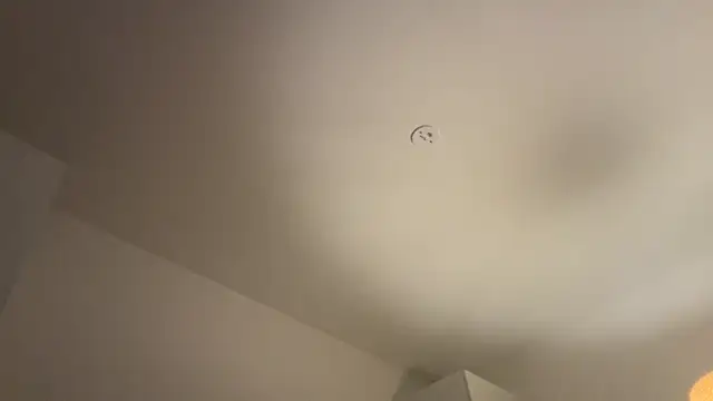 Swedishfish69 online show from 8, 2, 2026