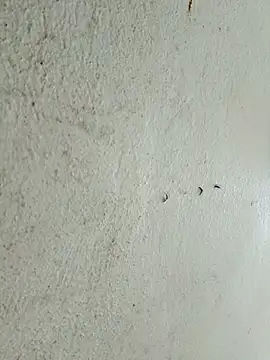 kata-00 online show from 14, 3, 2026