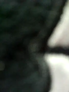 kata-00 online show from 2, 4, 2026