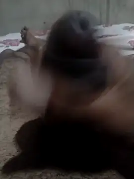 Tc777fun online show from 22, 11, 2025