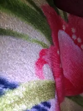 Chanderi19 online show from 14, 3, 2026