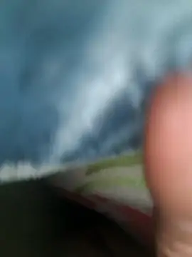 Chanderi19 online show from 21, 4, 2026