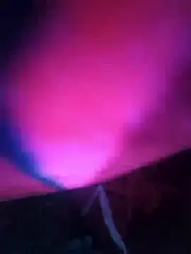 Chanderi19 online show from 13, 12, 2025