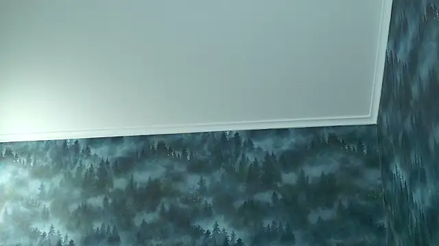 MarkShot  online show from 8, 11, 2025