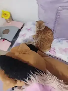 sweetdubros2 online show from 8, 3, 2026