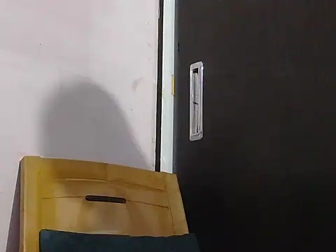 Nisha-telugu online show from 12, 10, 2025