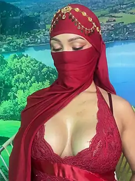 Snapshot of _hafsa_ chatting on 3, 11, 2025 hafsa online show from 3, 11, 2025