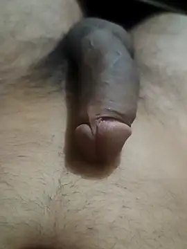 Snapshot of snadycam chatting on 29, 10, 2025 snadycam online show from 29, 10, 2025