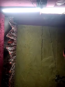 Suman ji1 online show from 25, 11, 2025