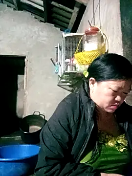 riso-00 online show from 7, 1, 2026