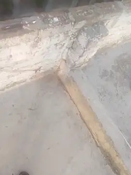 haryanaboypanipat12 online show from 18, 4, 2026