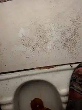 haryanaboypanipat12 online show from 17, 3, 2026