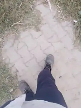 haryanaboypanipat12 online show from 2, 4, 2026