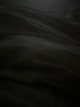 dlasian2026 online show from 4, 11, 2025