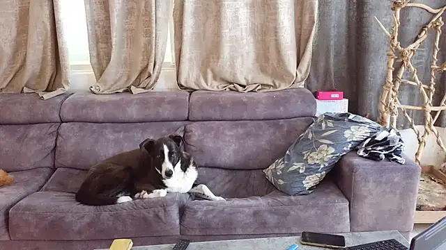 Alexis21821 online show from 27, 2, 2026