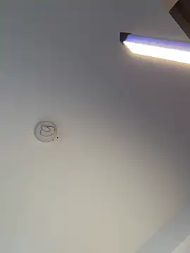 Andrestarr online show from 10, 2, 2026