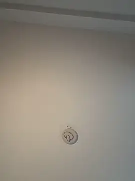 Andrestarr online show from 8, 2, 2026