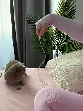 Andrestarr online show from 14, 3, 2026