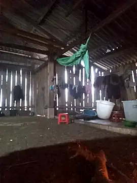 bonnie-00 online show from 6, 1, 2026