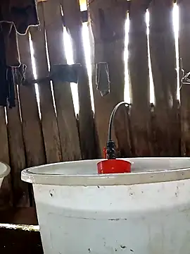 bonnie-00 online show from 15, 4, 2026