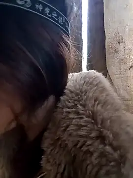 bonnie-00 online show from 14, 12, 2025